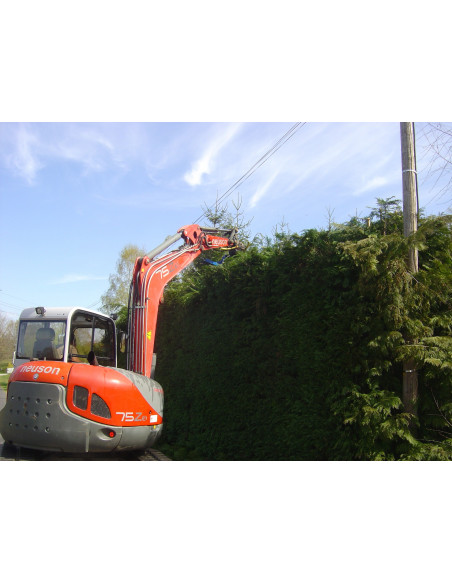 TAILLE - HAIE   HC180 